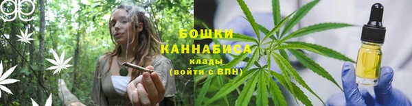 каннабис Майский