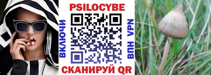 Купить закладки  Ряжск  Псилоцибиновые грибы Psilocybe 